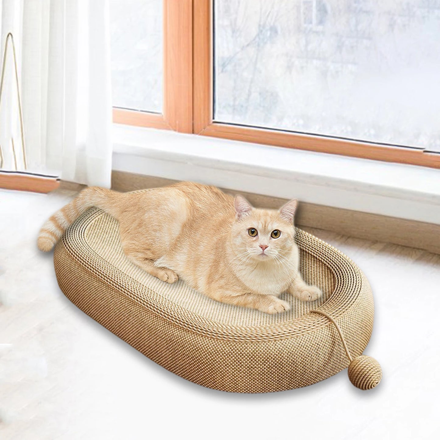 Cat Scratching Lounge โ Play, Scratch & Relax!