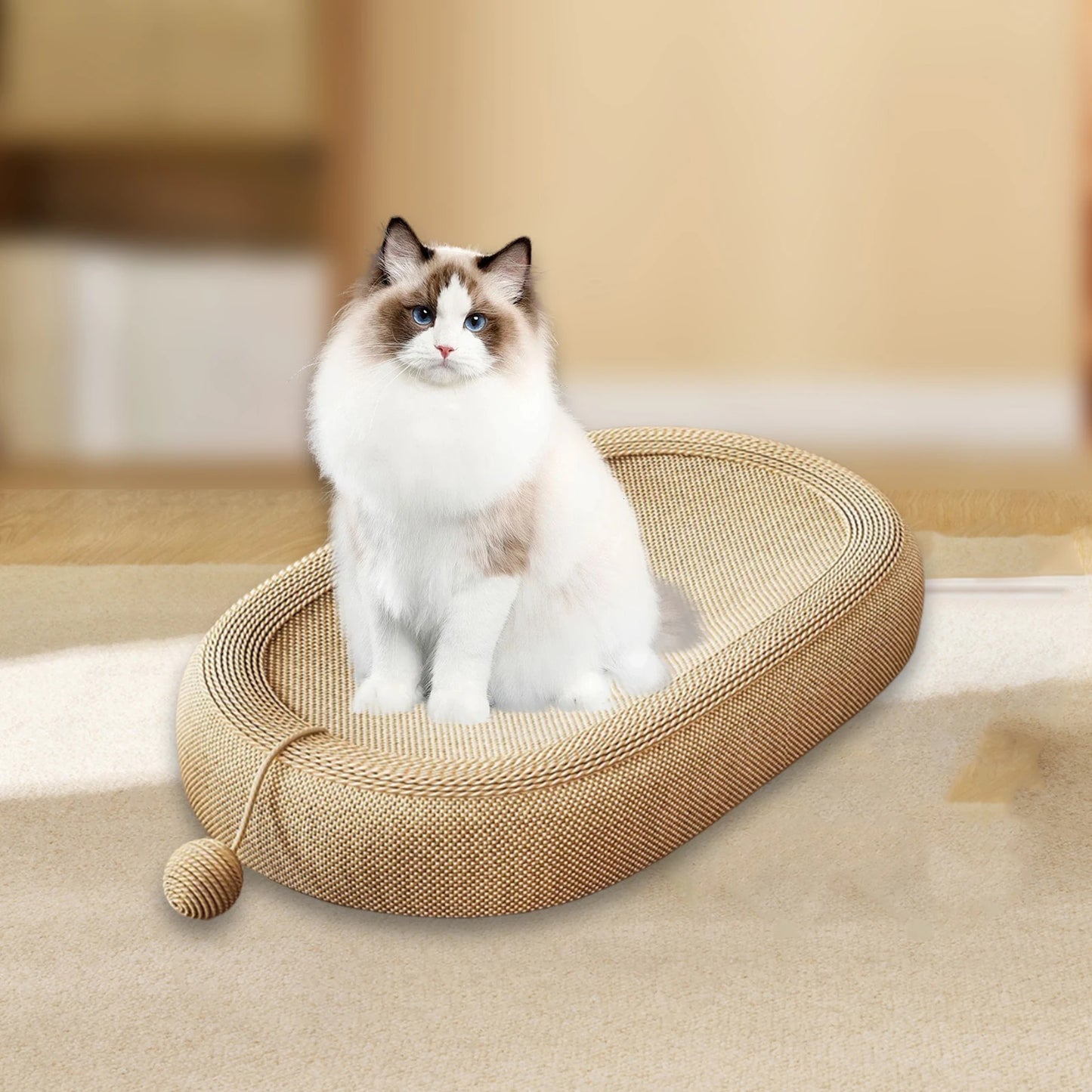 Cat Scratching Lounge โ Play, Scratch & Relax!