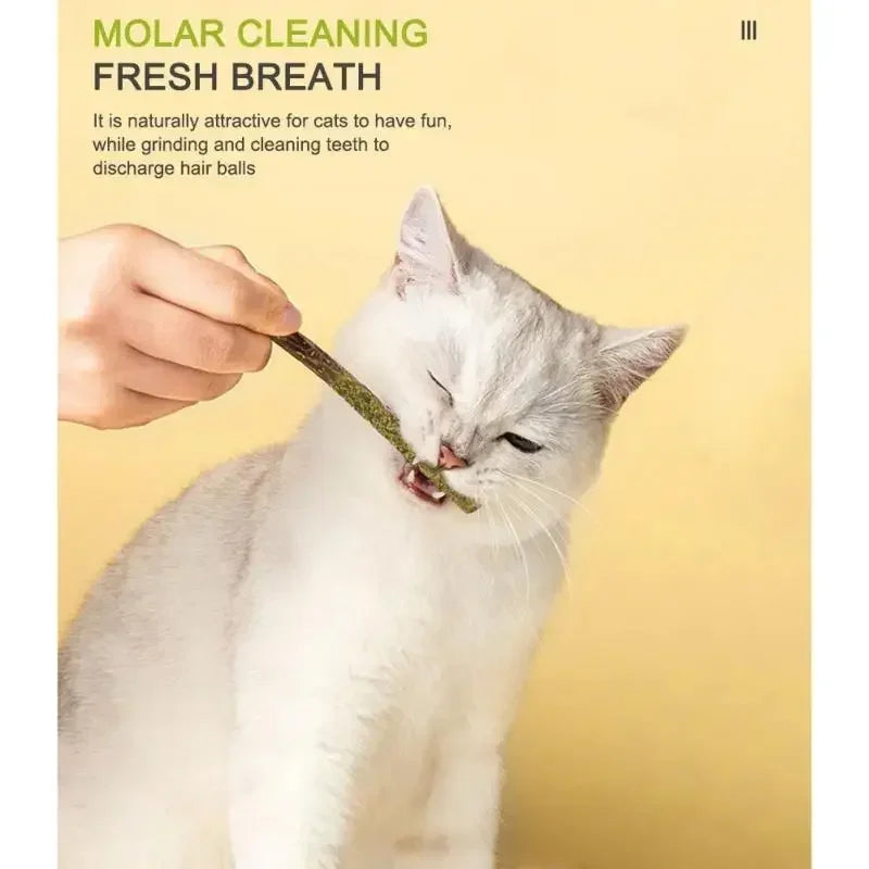 6pcs Natural Cat Stick Mint