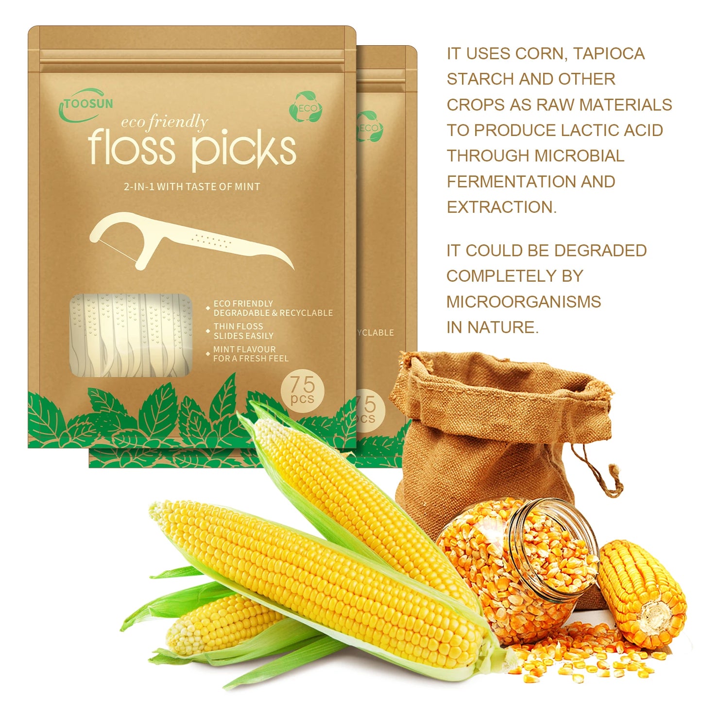Eco-Friendly Mint Dental Floss Picks
