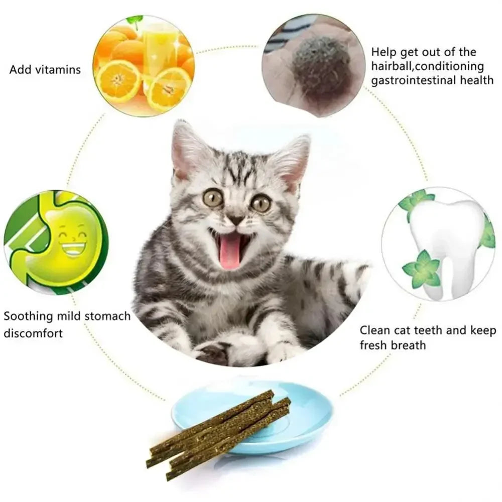 6pcs Natural Cat Stick Mint