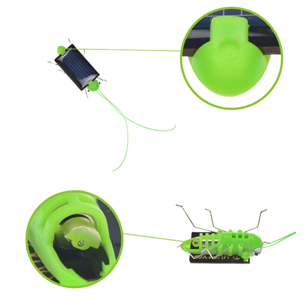 Solar Grasshopper Toy Puzzle