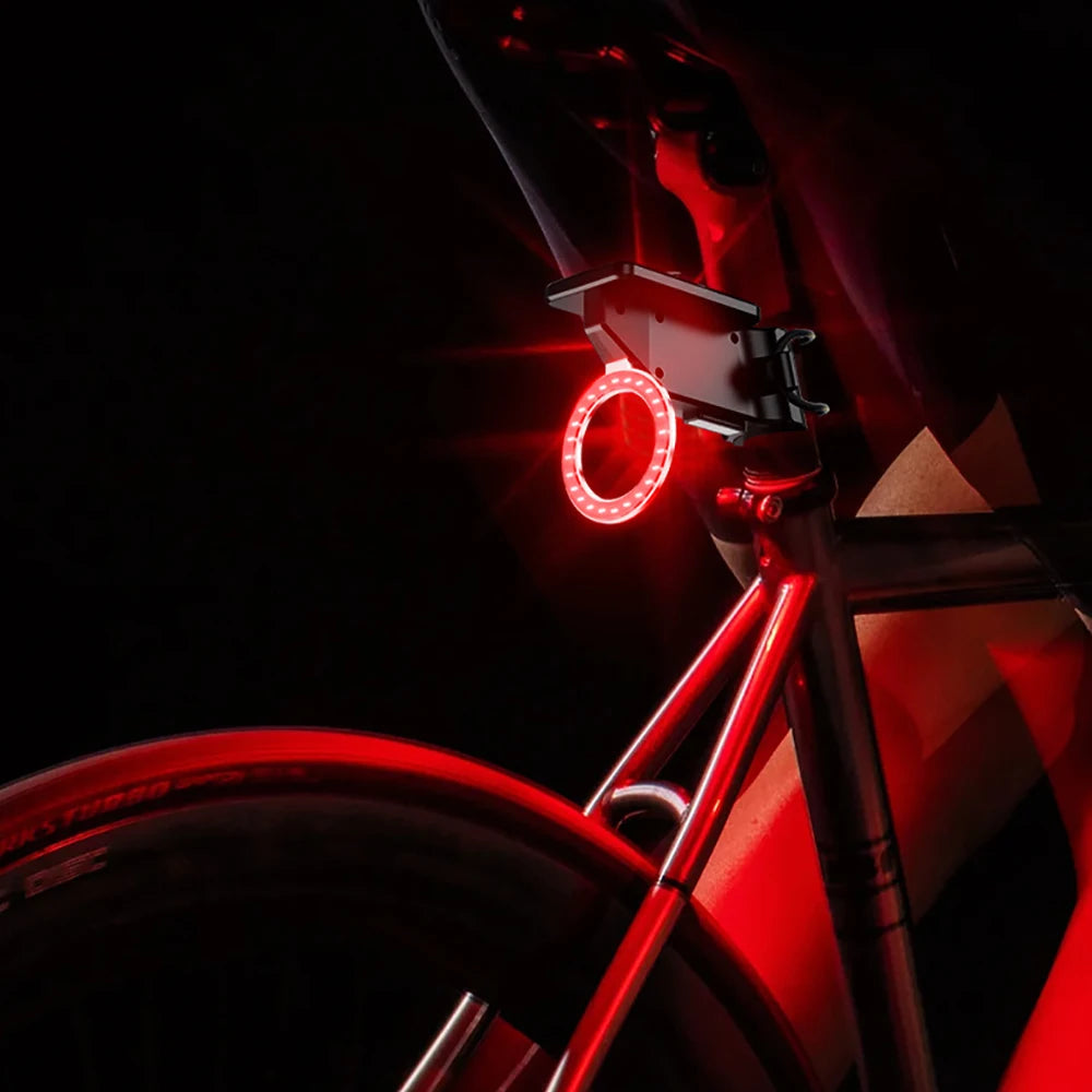 Solar Bicycle Safety Light
