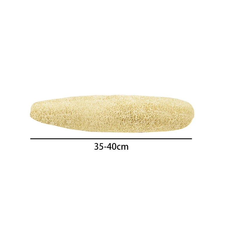 Natural Loofah Sponge