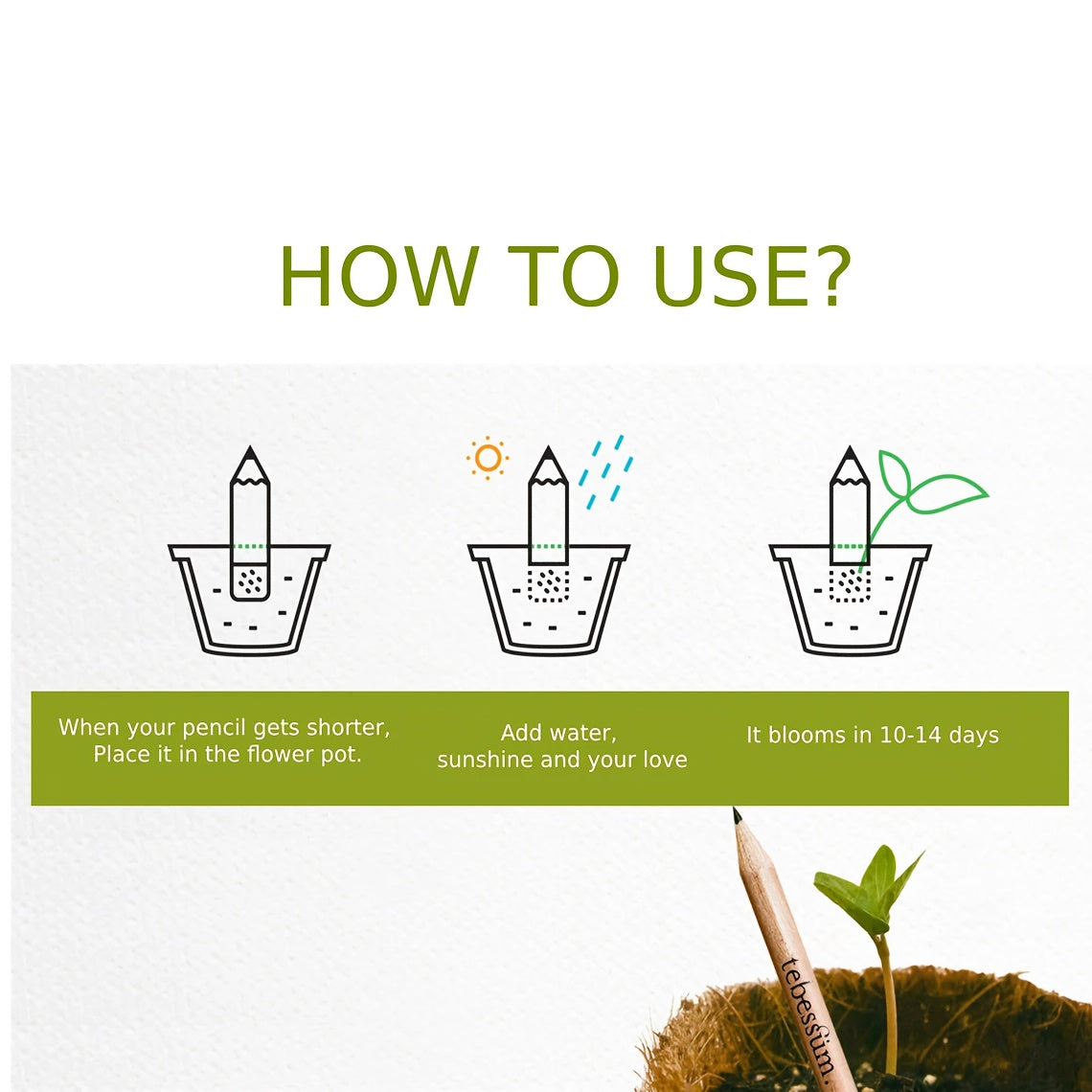 Plantable Seed Pencils – Eco-Friendly Gifts for Weddings, Christmas & Events