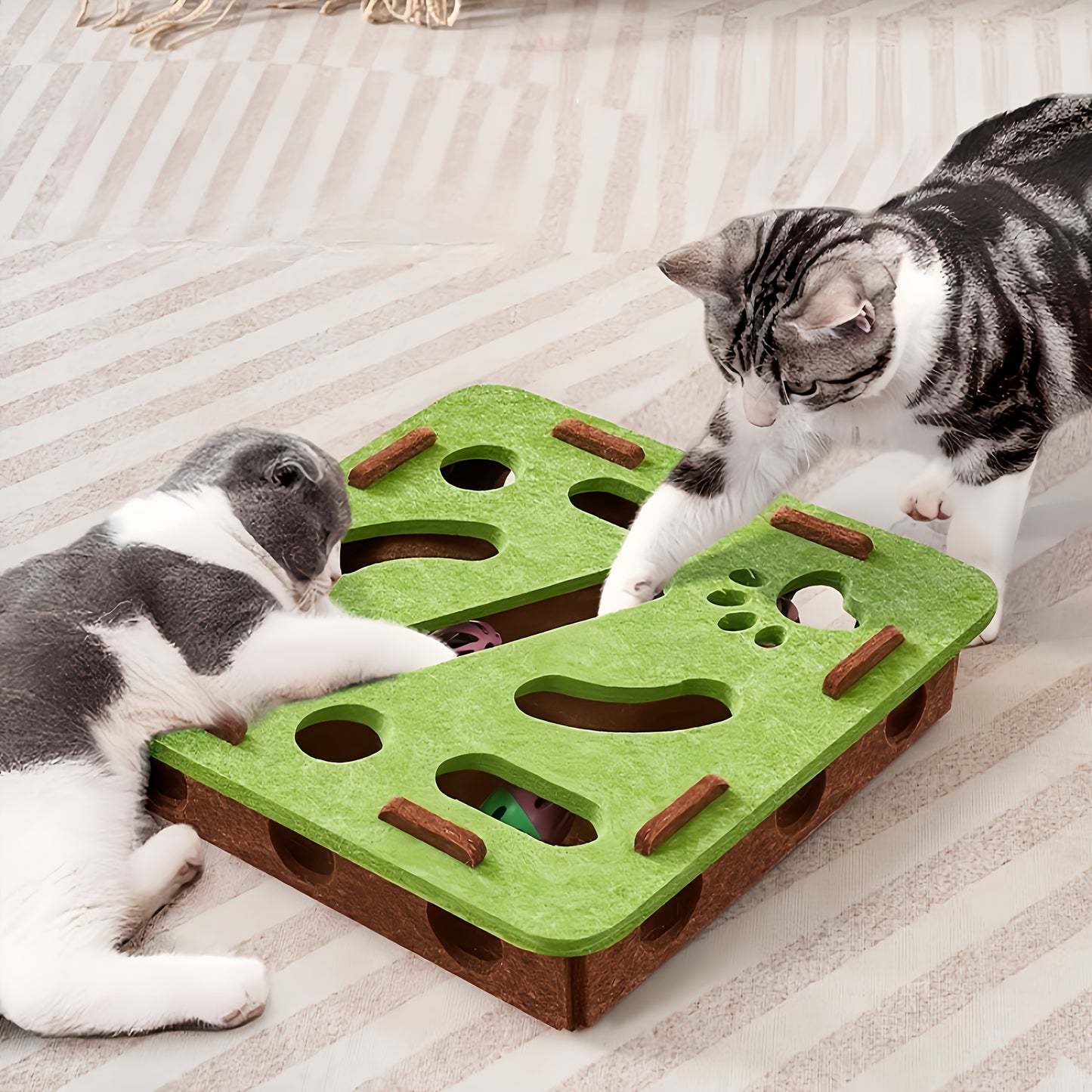 Eco Cat Fun Box