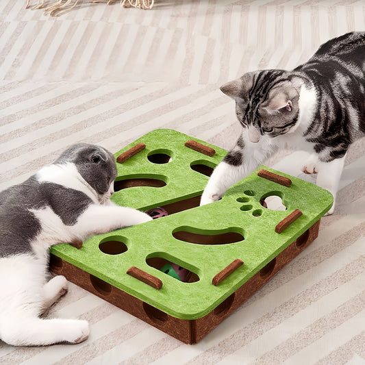 Eco Cat Fun Box
