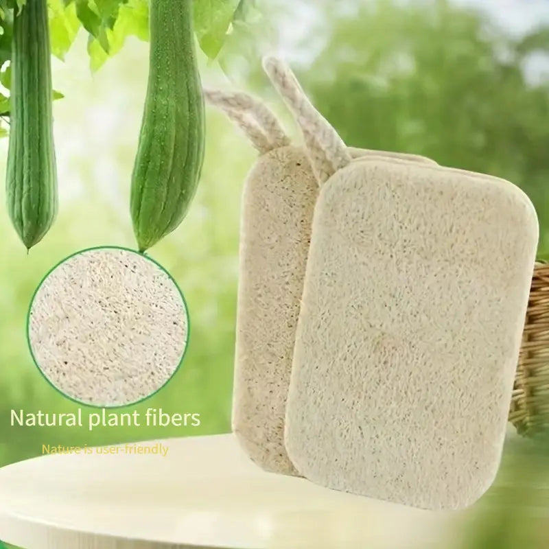 Eco Kitchen Starter Set