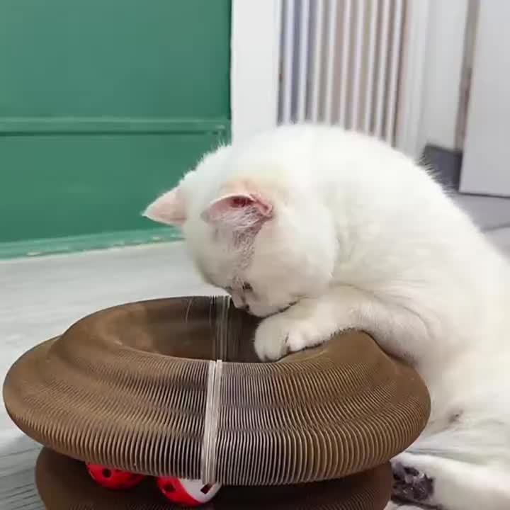 Magic Organ Cat Scratch Board with Ball Track