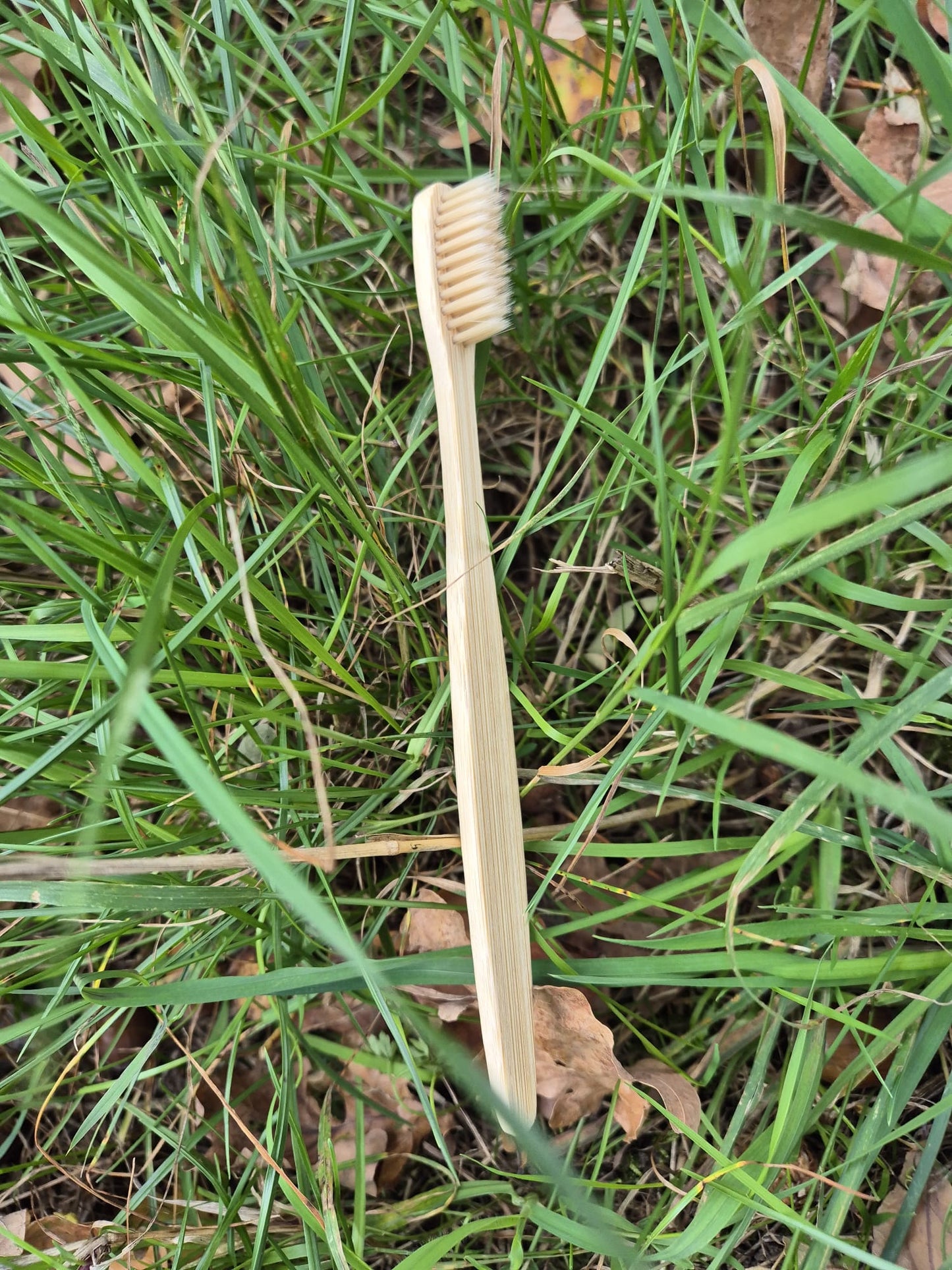 Eco Haven Reis Zero Waste Verzorgingsset