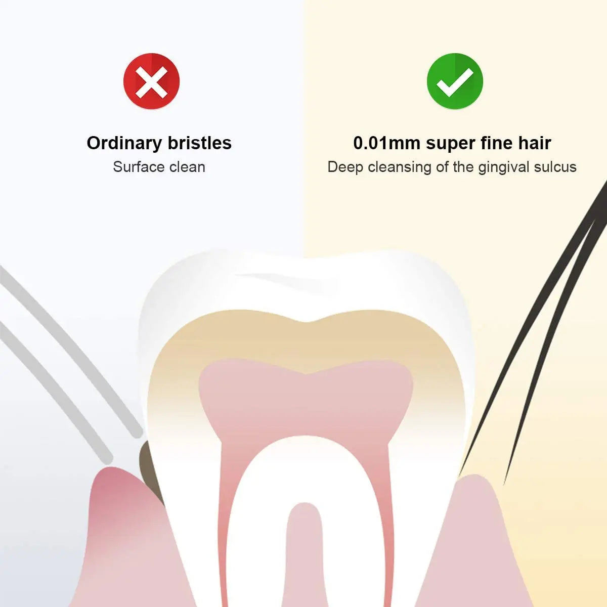 Biodegradable Bamboo Toothbrush
