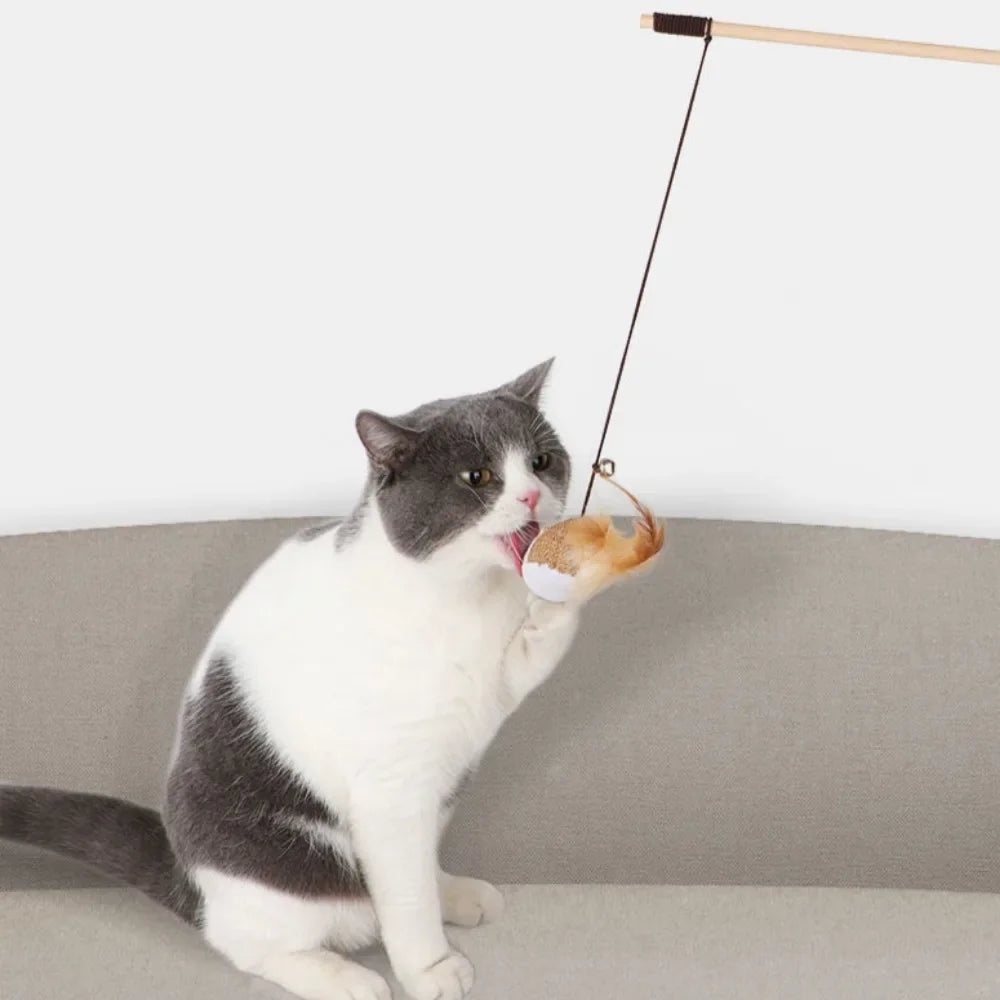 Teaser Feather Wand Toy