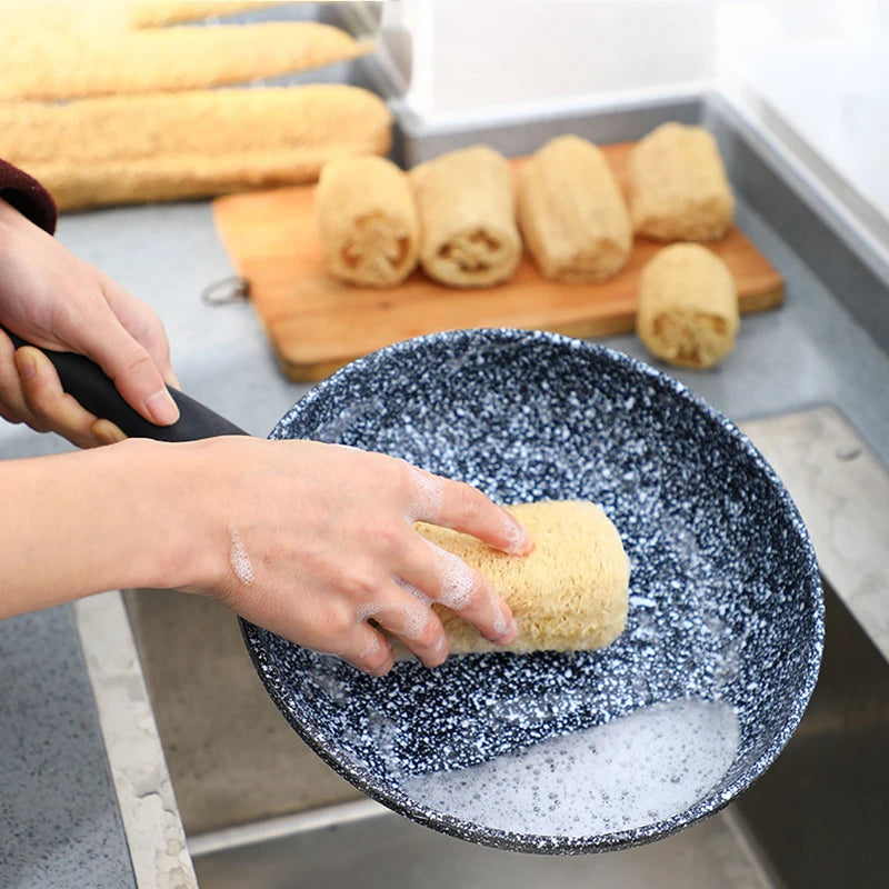 Natural Loofah Sponge
