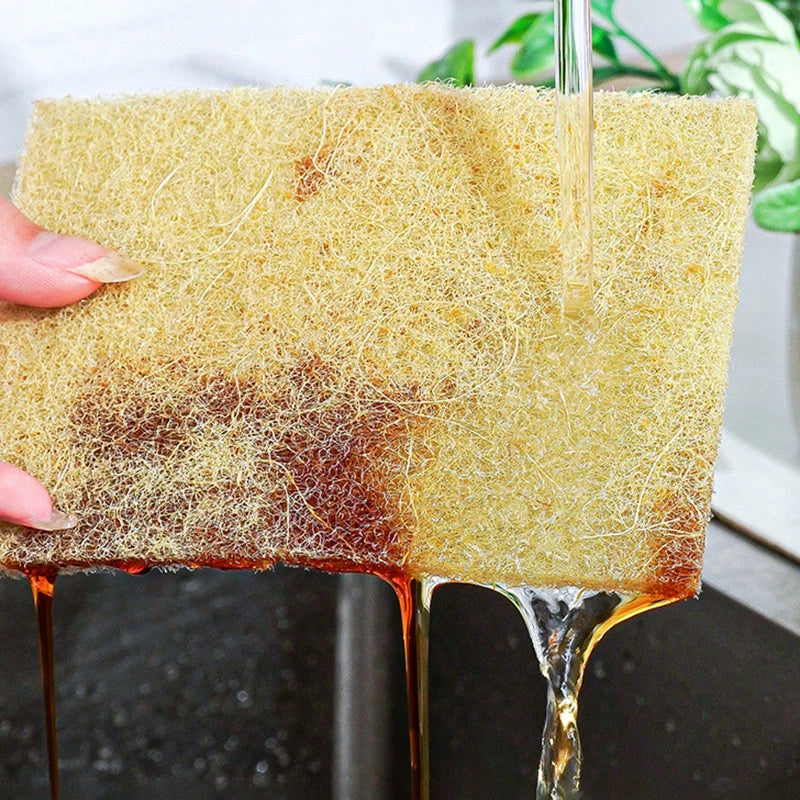 Milieuvriendelijke sisal- en microvezelsponzenset van 5, 10 of 20 stuks