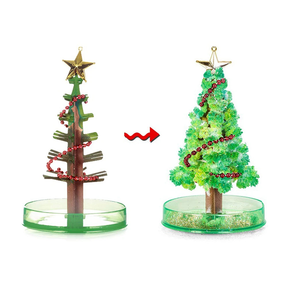 Mini Christmas Tree Magic Growing Kit