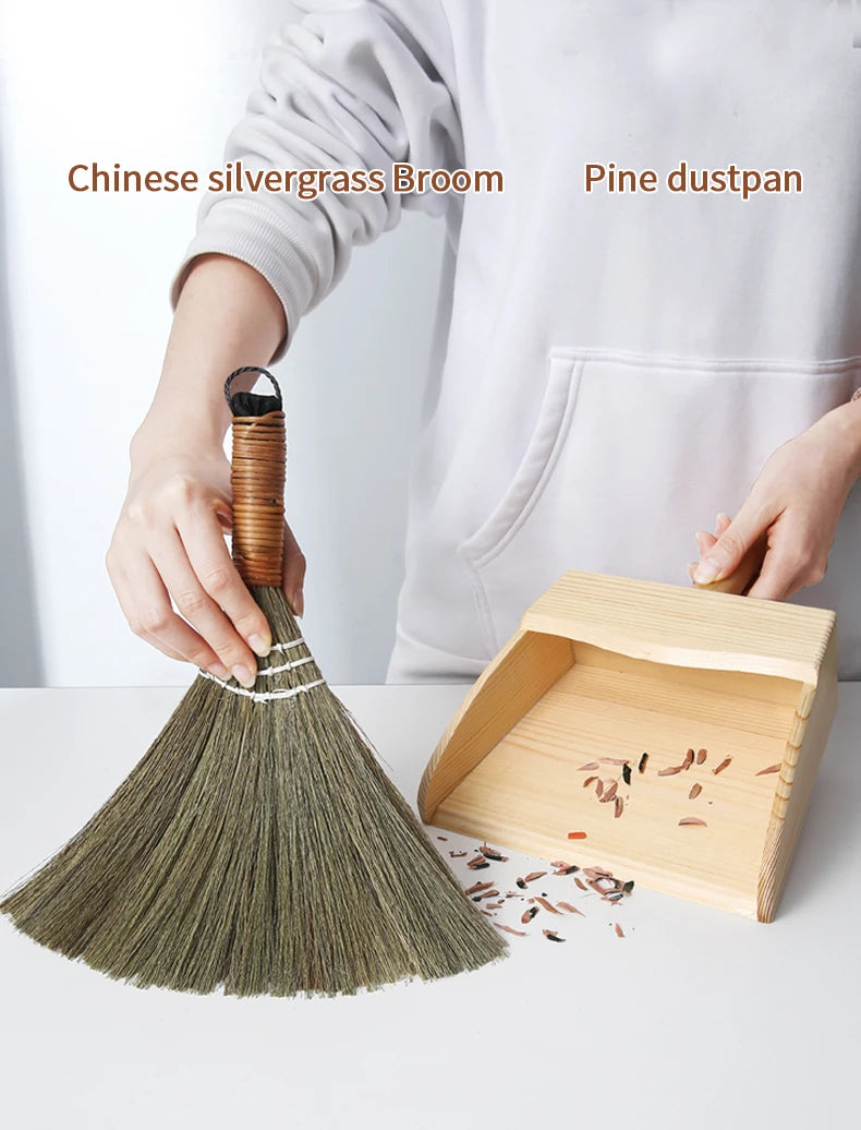 Mini Desktop Broom & Dustpan Set
