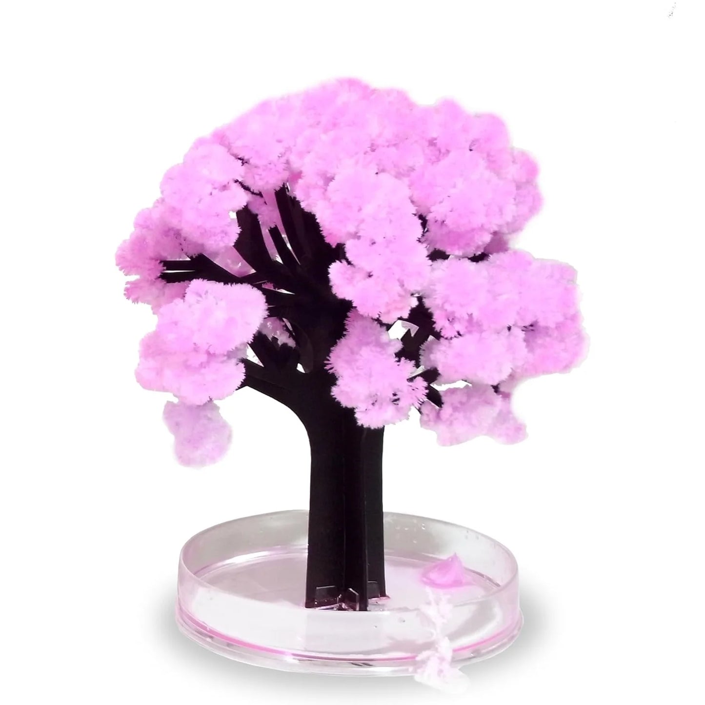 Mini Christmas Tree Magic Growing Kit