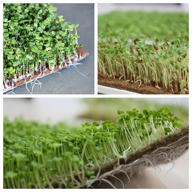 Needle-Punched Felt Jute Mats