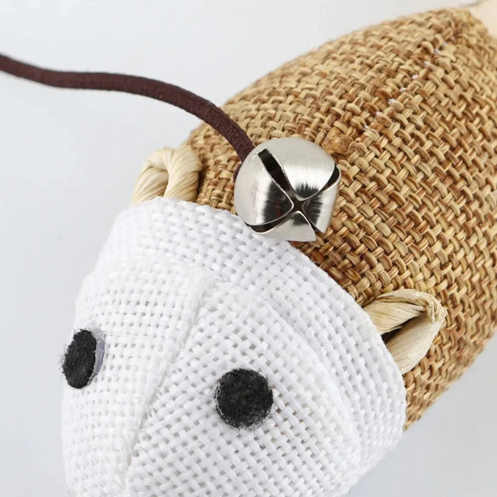 Teaser Feather Wand Toy