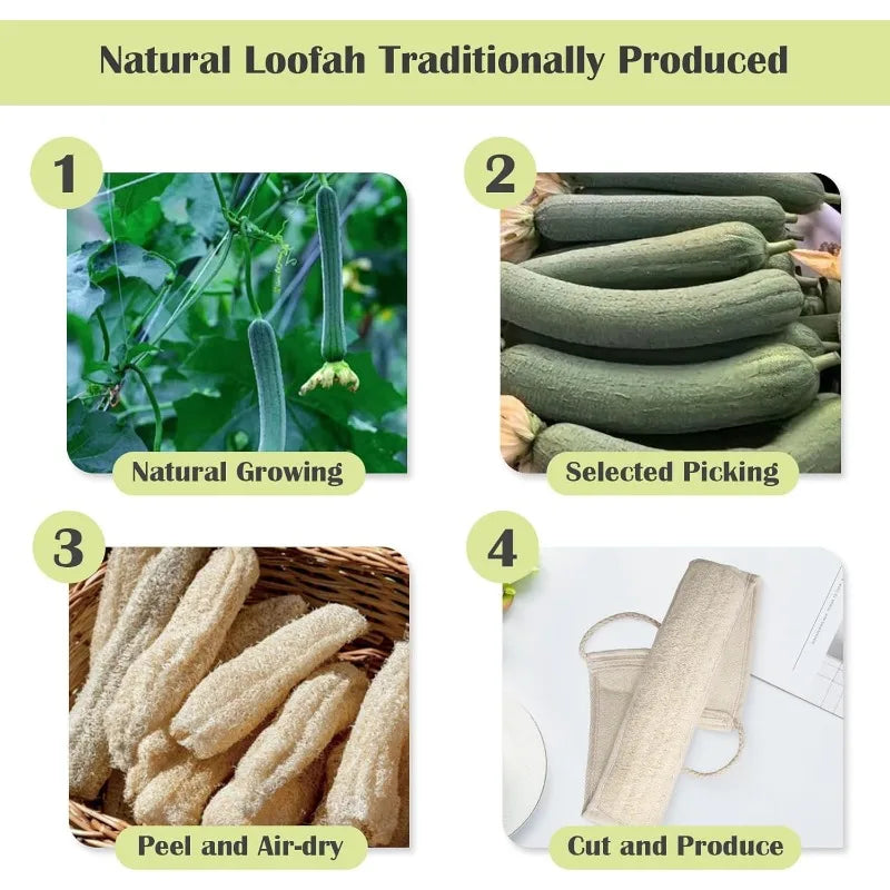 Natuurlijke Loofah Spons Rugreiniger