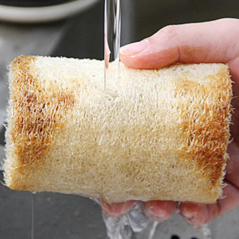 Natural Loofah Sponge