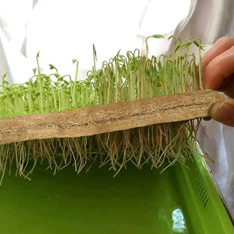 Needle-Punched Felt Jute Mats