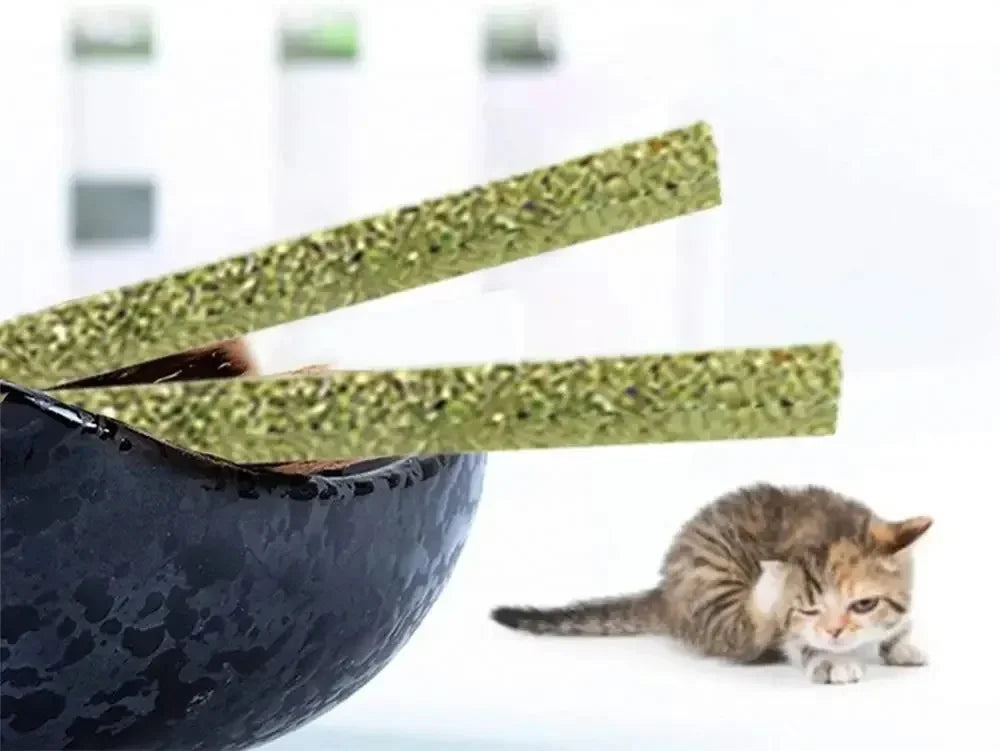 6pcs Natural Cat Stick Mint