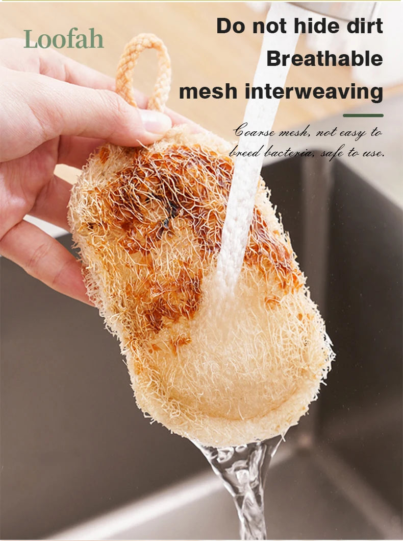 Natural Loofah Dish Sponge