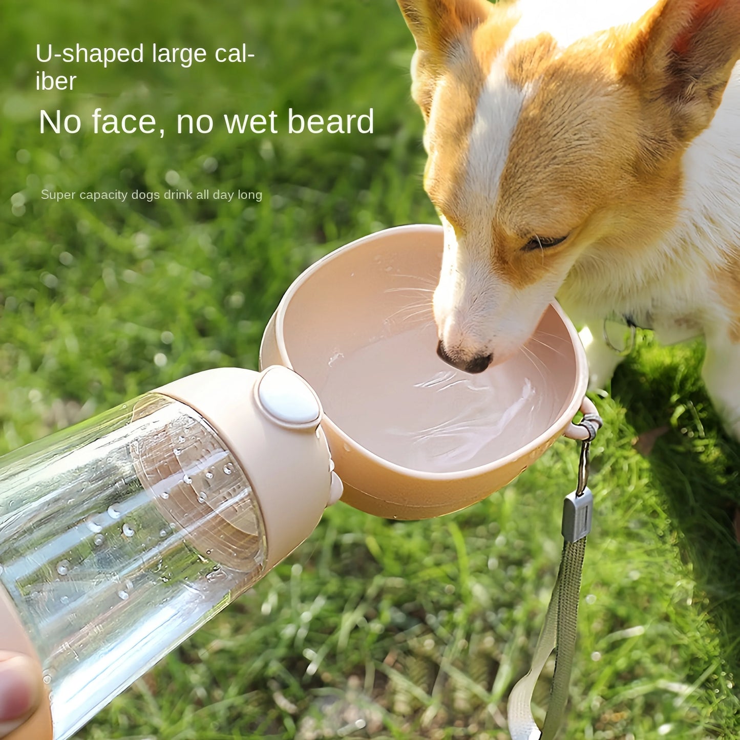 Portable Pet Water & Food Bottle – Hydration on the Go