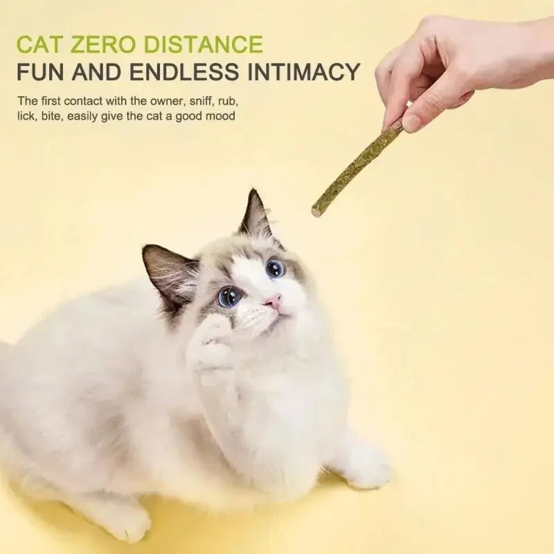 6pcs Natural Cat Stick Mint