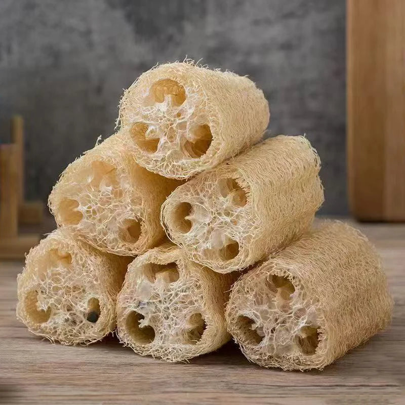 Natural Loofah Sponge