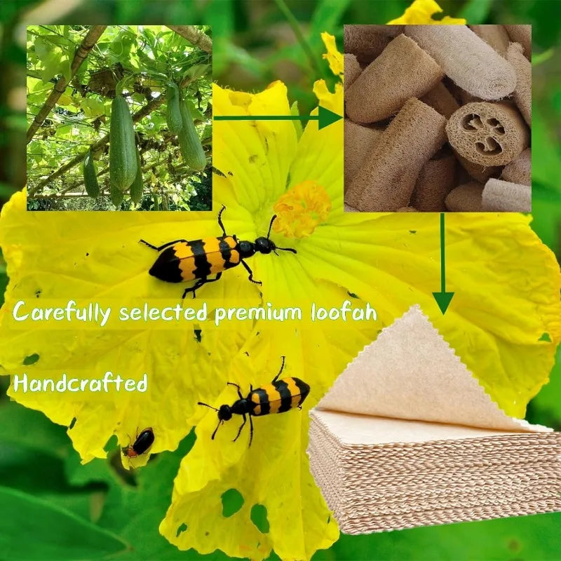 Natural Loofah &amp; Cellulose Dishcloths