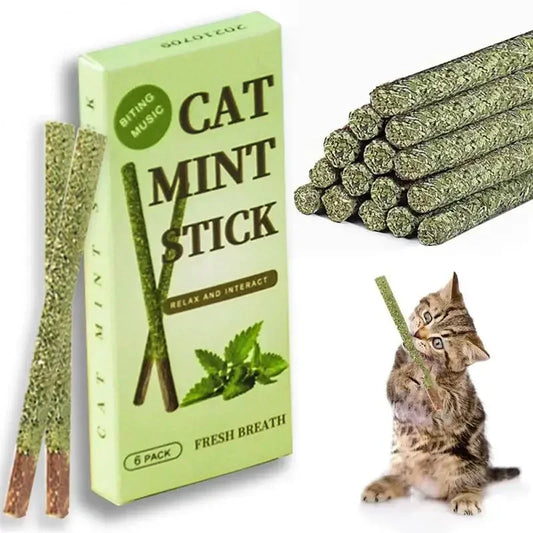 6pcs Natural Cat Stick Mint