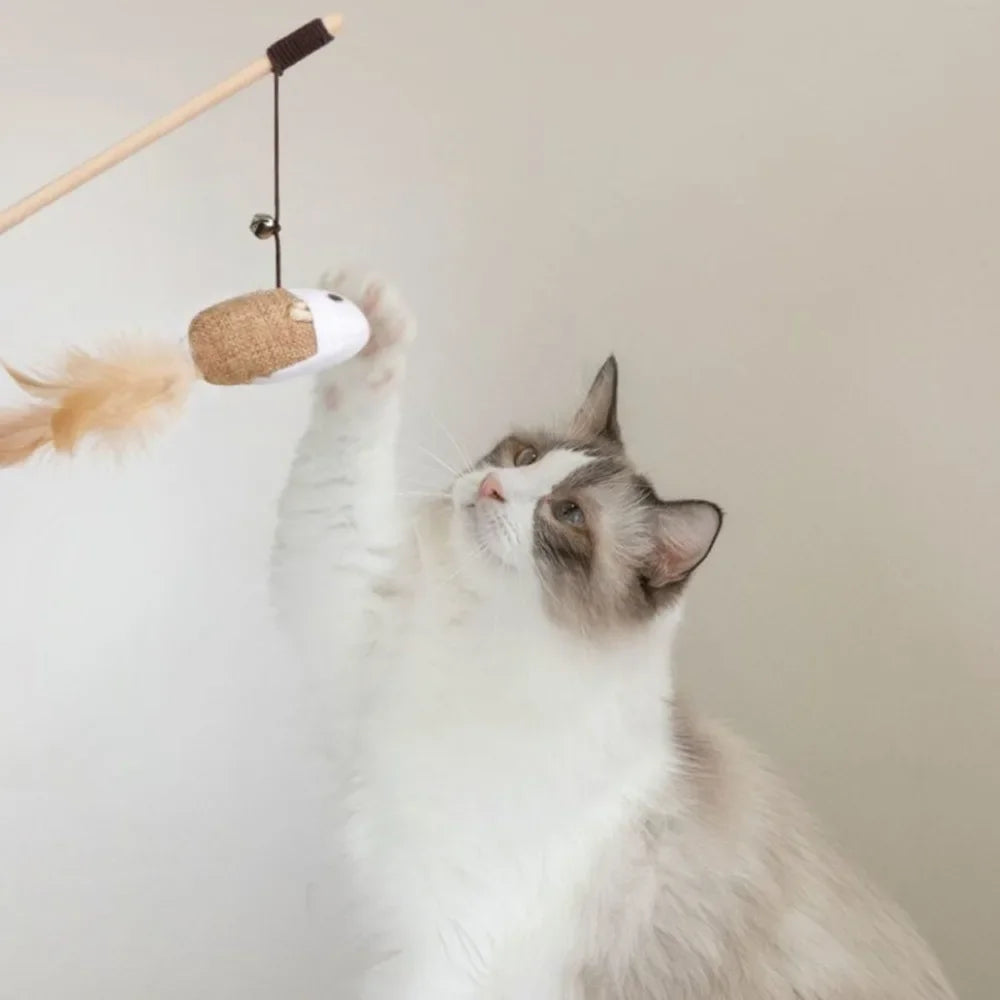 Teaser Feather Wand Toy