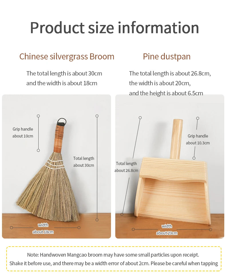 Mini Desktop Broom & Dustpan Set