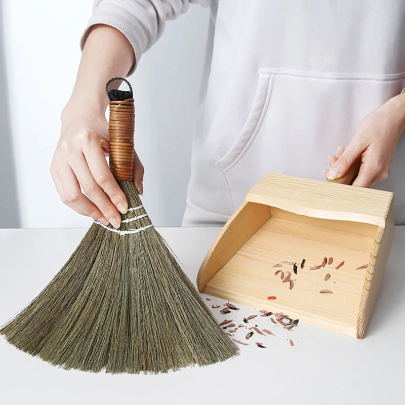 Mini Desktop Broom & Dustpan Set