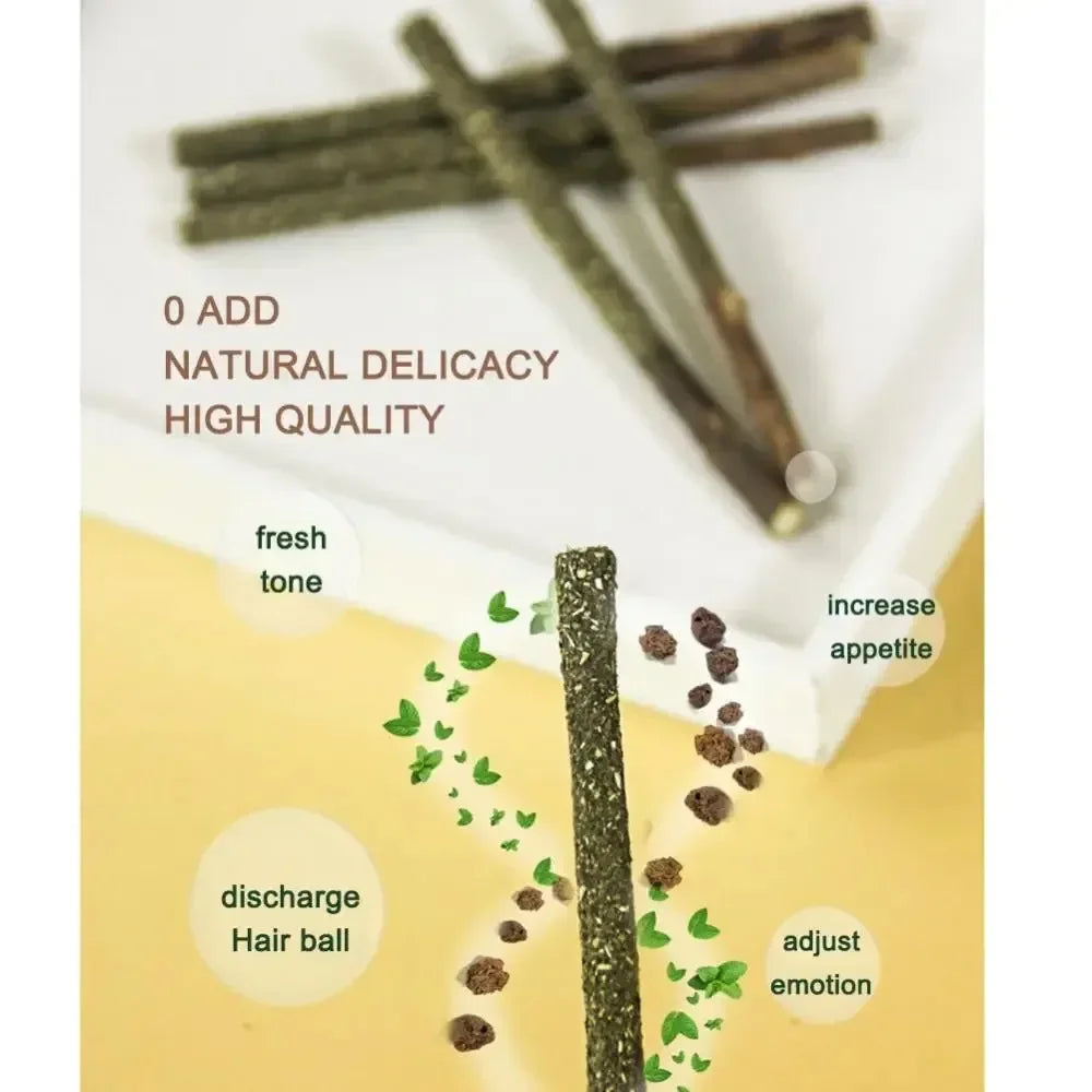 6pcs Natural Cat Stick Mint