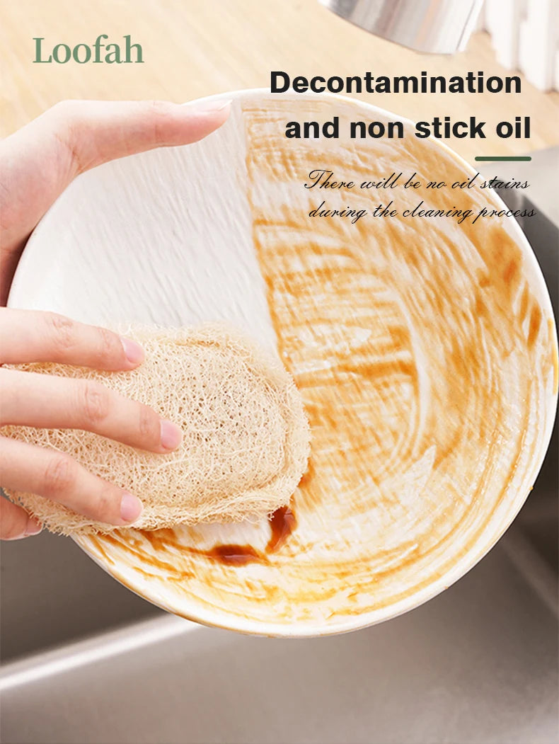 Natural Loofah Dish Sponge