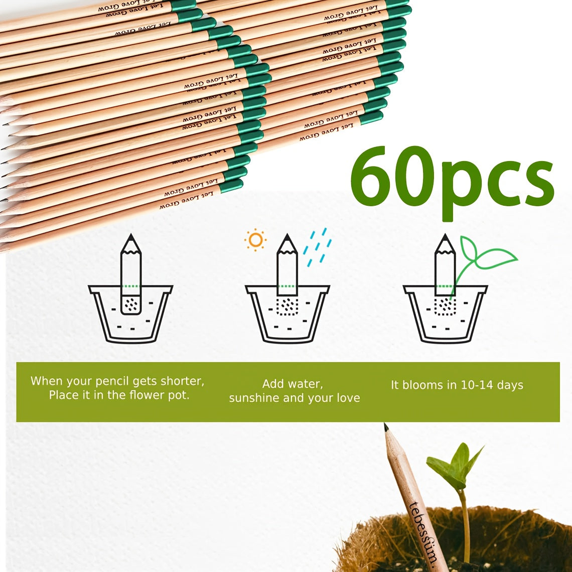 Plantable Seed Pencils – Eco-Friendly Gifts for Weddings, Christmas & Events