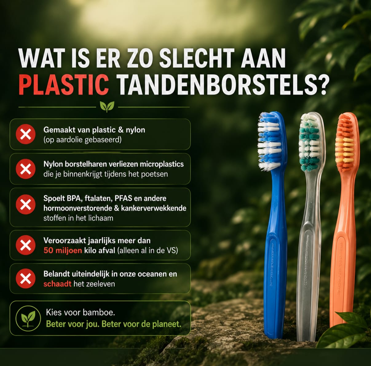 Tandenborstels van bamboe met natuurlijke haren