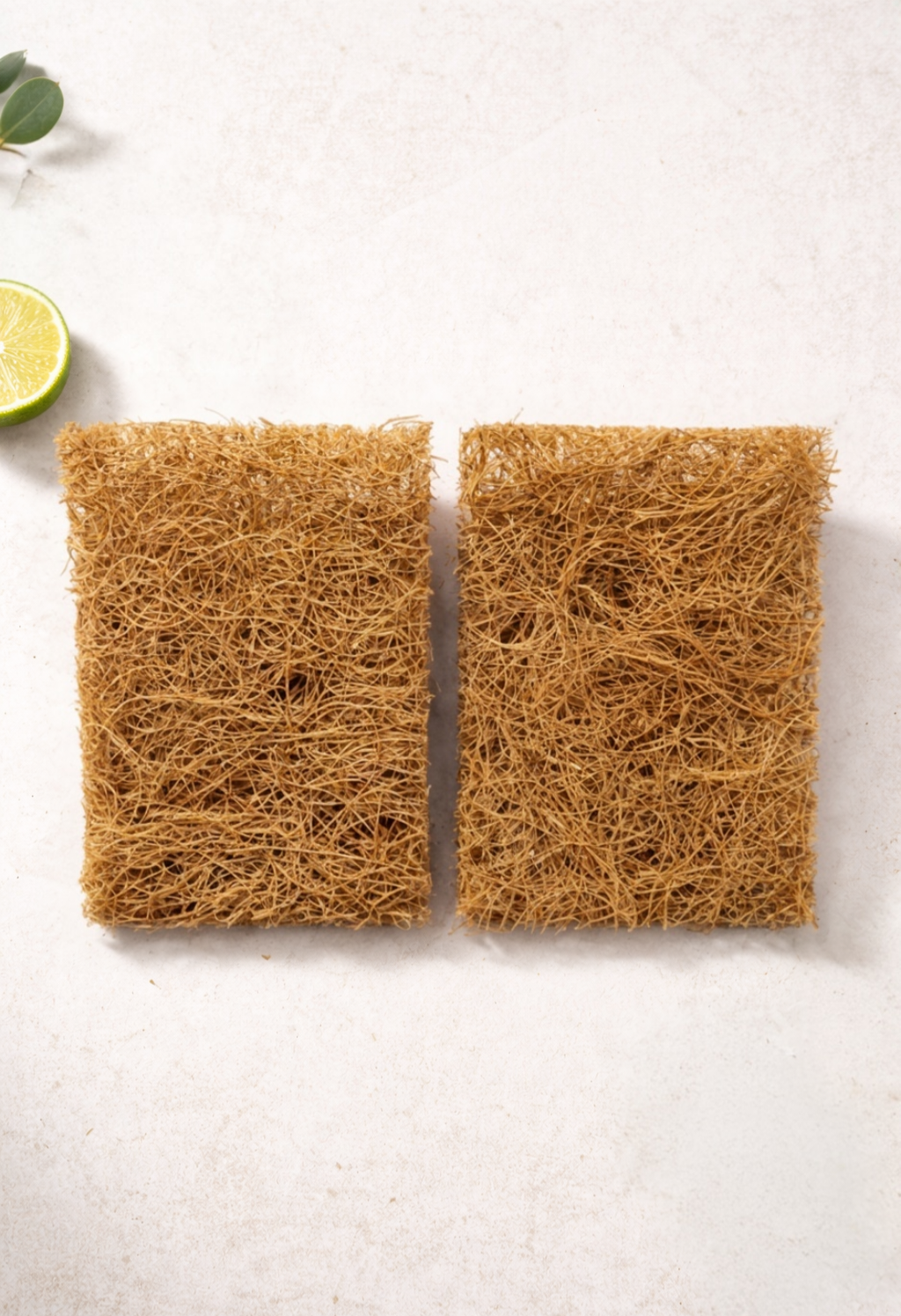 Coconut Scrub Sponges (2-Pack) – Scratch-Free, Plastic-Free & Compostable | Heavy Duty Eco Cleaning