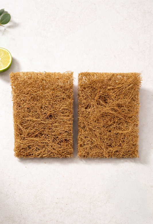 Coconut Scrub Sponges (2-Pack) – Scratch-Free, Plastic-Free & Compostable | Heavy Duty Eco Cleaning